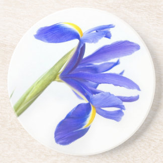Purple Iris Flower Coaster