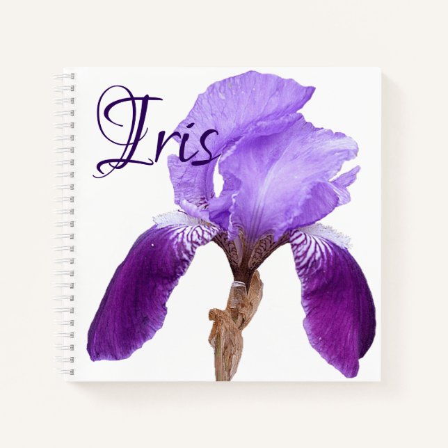 Purple iris flower customizable Iris name floral  Notebook (Front)