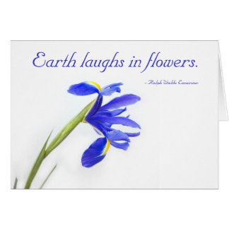 Purple Iris Flower - Earth laughs in flowers