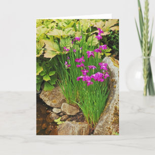 Purple iris flower garden greeting card