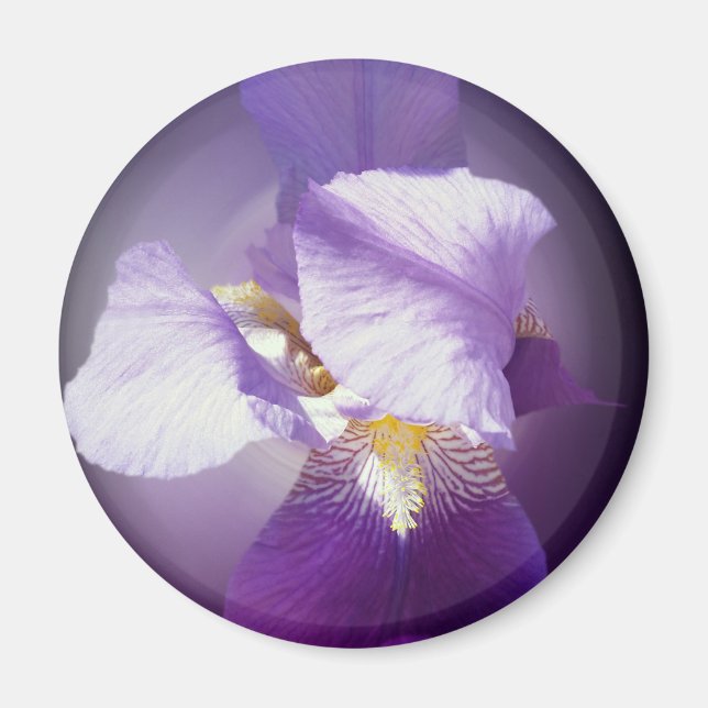 purple iris flower magnet (Front)
