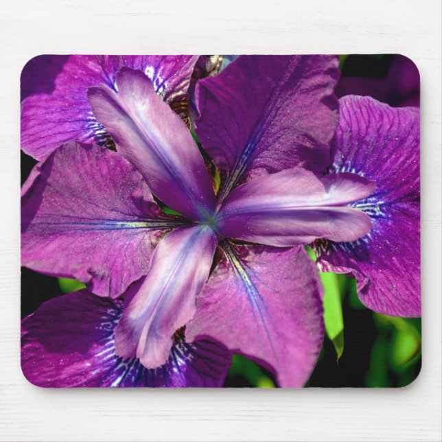 Purple iris flower mouse mat (Front)