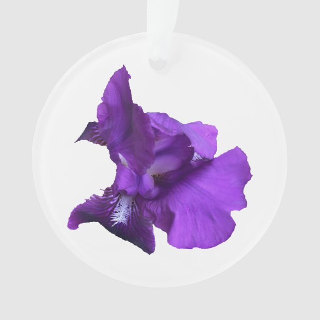 Purple Iris Flower Ornament (Front)