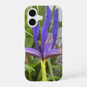 Purple Iris Flower Outdoor Garden Nature Photo iPhone 16 Case