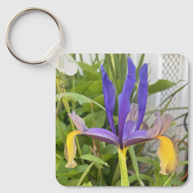 Purple Iris Flower Outdoor Garden Nature Photo  Key Ring (Front)