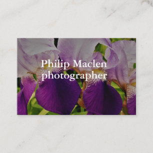 Purple Iris Flower Photo Standard Matte Business Card