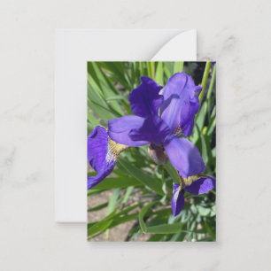 Purple Iris Flower Photograph Card