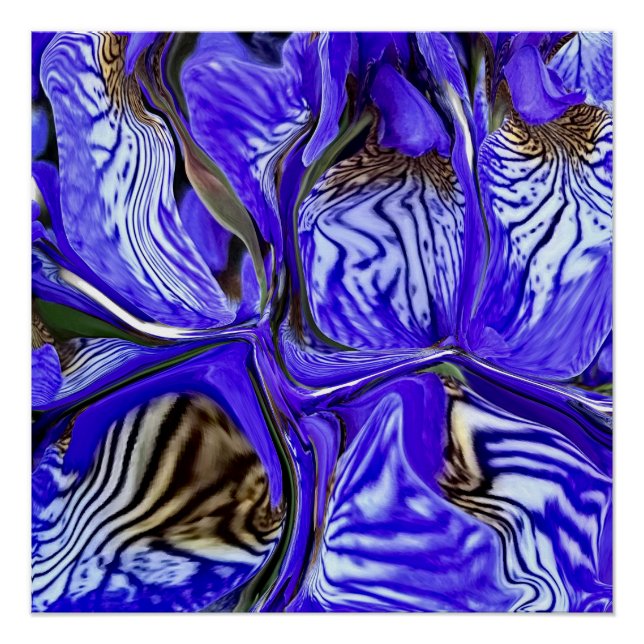 Purple Iris Flower Poster (Front)