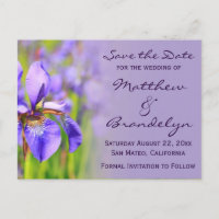 Purple Iris Flower Save the Date Postcards