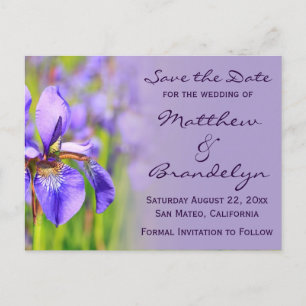 Purple Iris Flower Save the Date Postcards