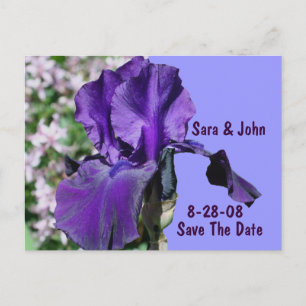 Purple Iris Flower Save The Date Wedding Postcard