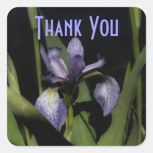 Purple Iris Flower Thank You Sticker