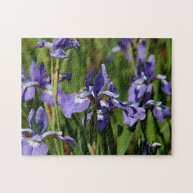 Purple iris flowers jigsaw puzzle (Horizontal)