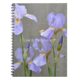 Purple Iris Flowers (my photography) Notebook