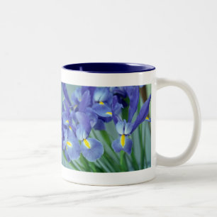 Purple Iris Flowers Photo Art Coffee Mugs