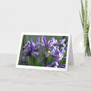Purple Iris Flowers Photo Greeting Card