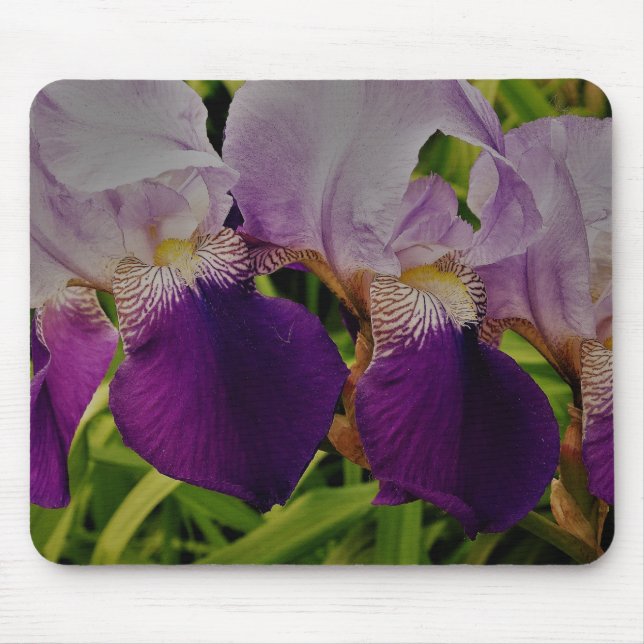 Purple iris flowers photo Mousepad (Front)