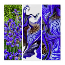 Purple Iris Flowers / Photos /