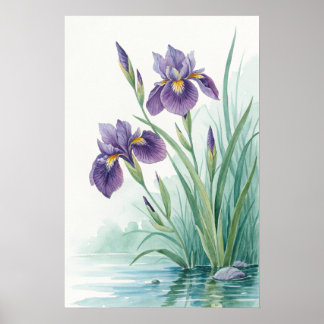 Purple Iris Flowers Poster