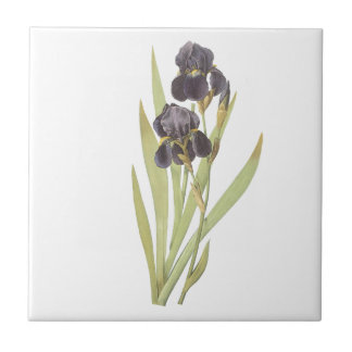 Purple Iris Flowers Tile