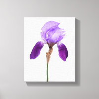 Purple iris flowers trendy boho floral glam girly
