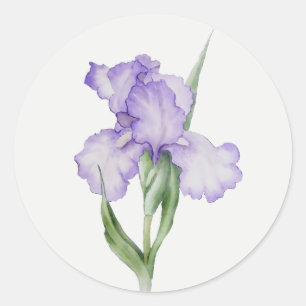Purple Iris Garden Flower Floral art Classic Round Sticker