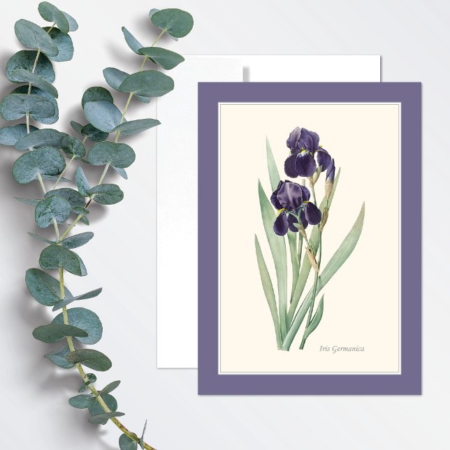 Purple Iris Germanica Botanical Art Note Card (Creator Uploaded)