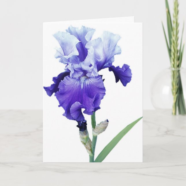 purple iris greeting card (Front)