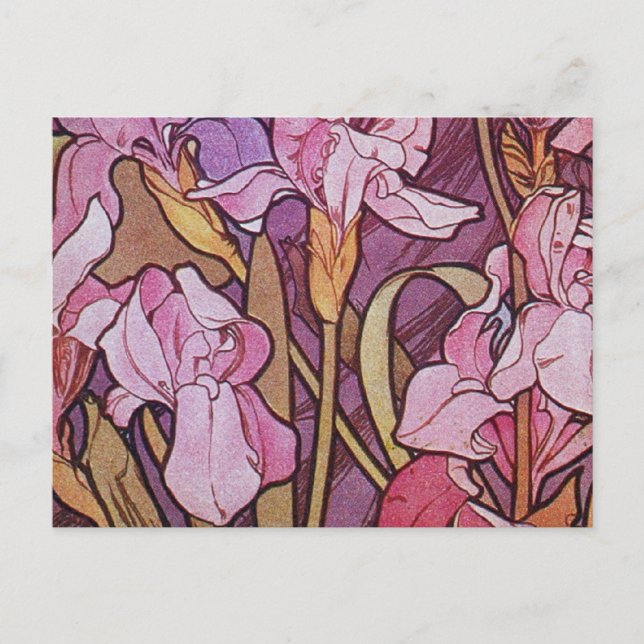 Purple Iris Holiday Postcard (Front)