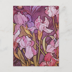 Purple Iris Holiday Postcard