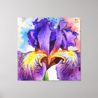 Purple Iris in Watercolor Canvas Print