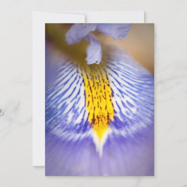 Purple Iris Invitation (Front)