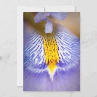 Purple Iris Invitation