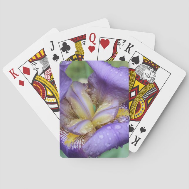 Purple Iris (Iris Germanica) Playing Cards (Back)