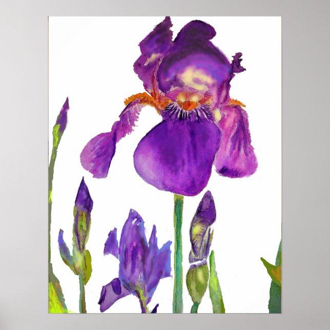 Purple Iris irises floral Flowers Poster (Front)