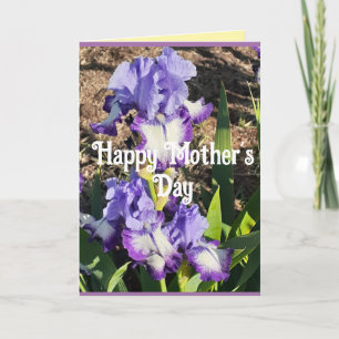 Purple Iris Irises Flower floral Mothers Day Card