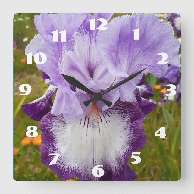 Purple Iris Irises Lilac Daisy Garden Flower  Square Wall Clock (Front)