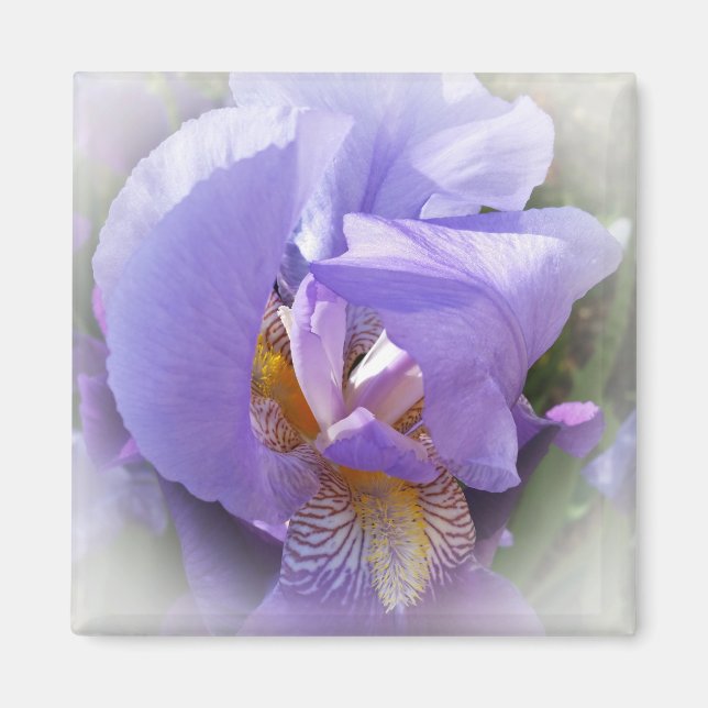 purple iris magnet (Front)