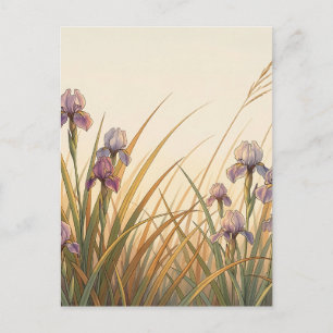 Purple Iris Meadow Golden Grass Landscape  Postcard