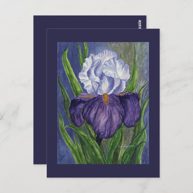 Purple Iris  Mini Collectable Prints Postcard (Front/Back)