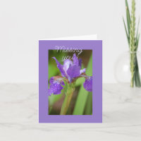 Purple Iris - Missing You   Card