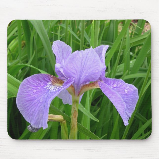 Purple Iris Mouse Mat (Front)