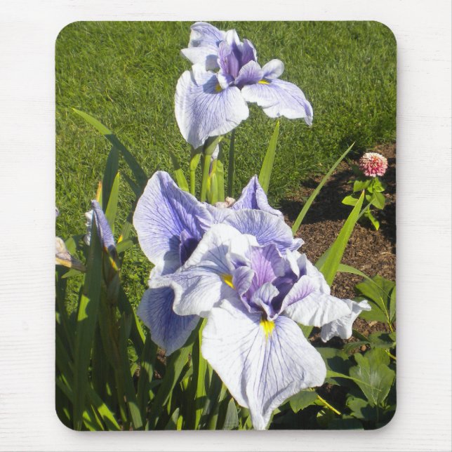 Purple Iris Mousepad (Front)