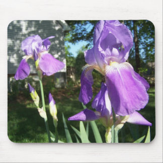 Purple Iris Mousepad