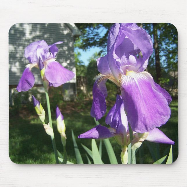 Purple Iris Mousepad (Front)