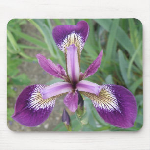 Purple Iris Mousepad