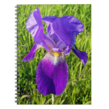 Purple Iris Notebook