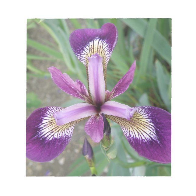 Purple Iris Notepad (Front)