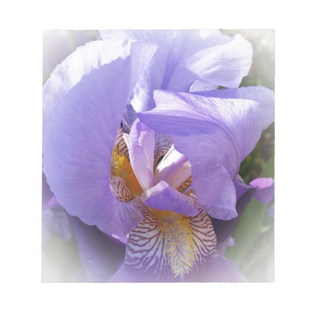 purple iris notepad (Front)