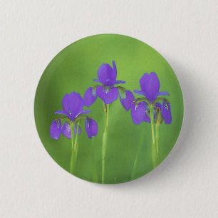 Purple Iris Painting - Original Flower Art 6 Cm Round Badge